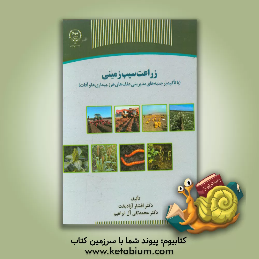 کتاب زراعت سیب زمینی (با تاکید بر جنبه  مدیریتی علف های هرز، بیماری ها و آفات) اثر افشار آزادبخت