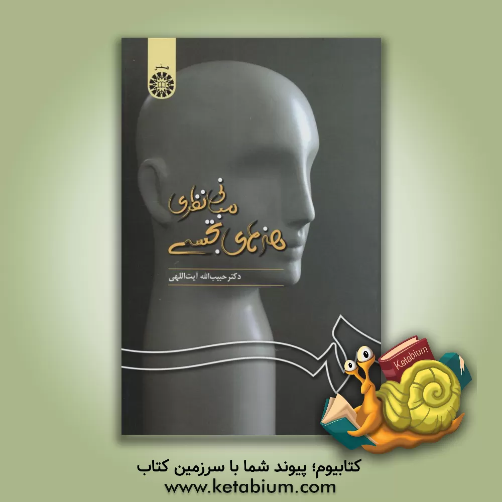 کتاب مبانی نظری هنرهای تجسمی |اثر حبیب الله آیت اللهی