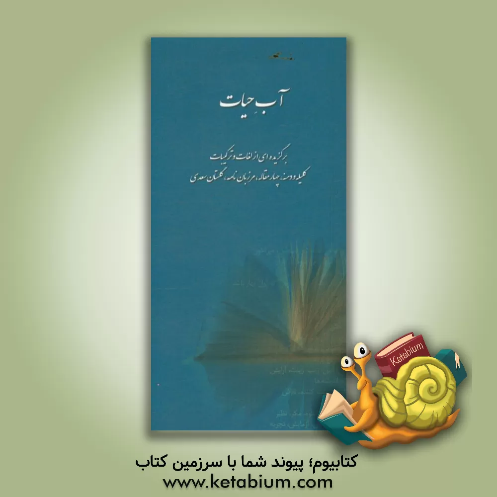 کتاب آب حیات: برگزیده ای از لغات و ترکیبات کلیله و دمنه، چهارمقاله، مرزبان نامه، گلستان سعدی |اثر موسسه فرهنگی اطلاع
