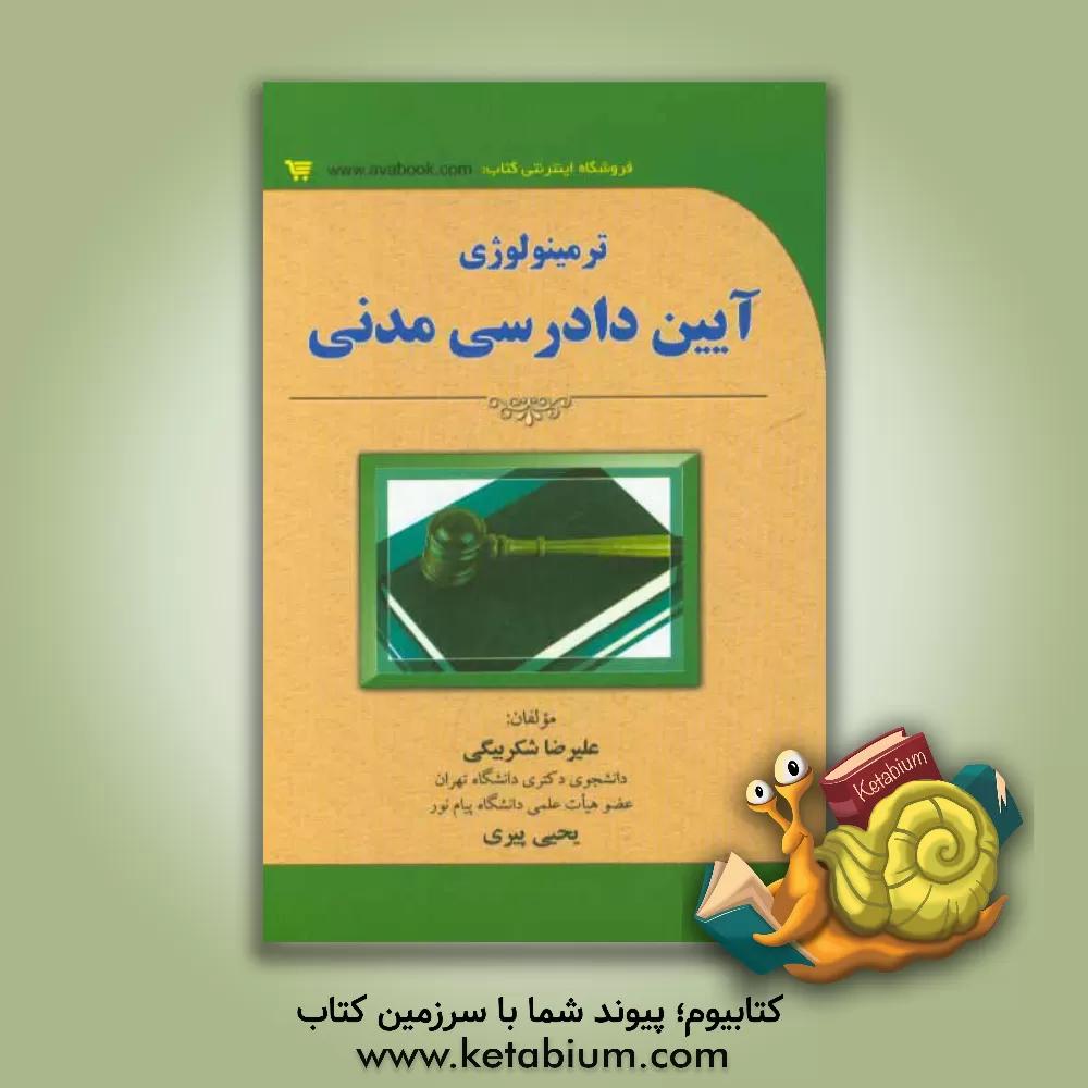 کتاب ترمینولوژی آیین دادرسی مدنی اثر علیرضا شکربیگی