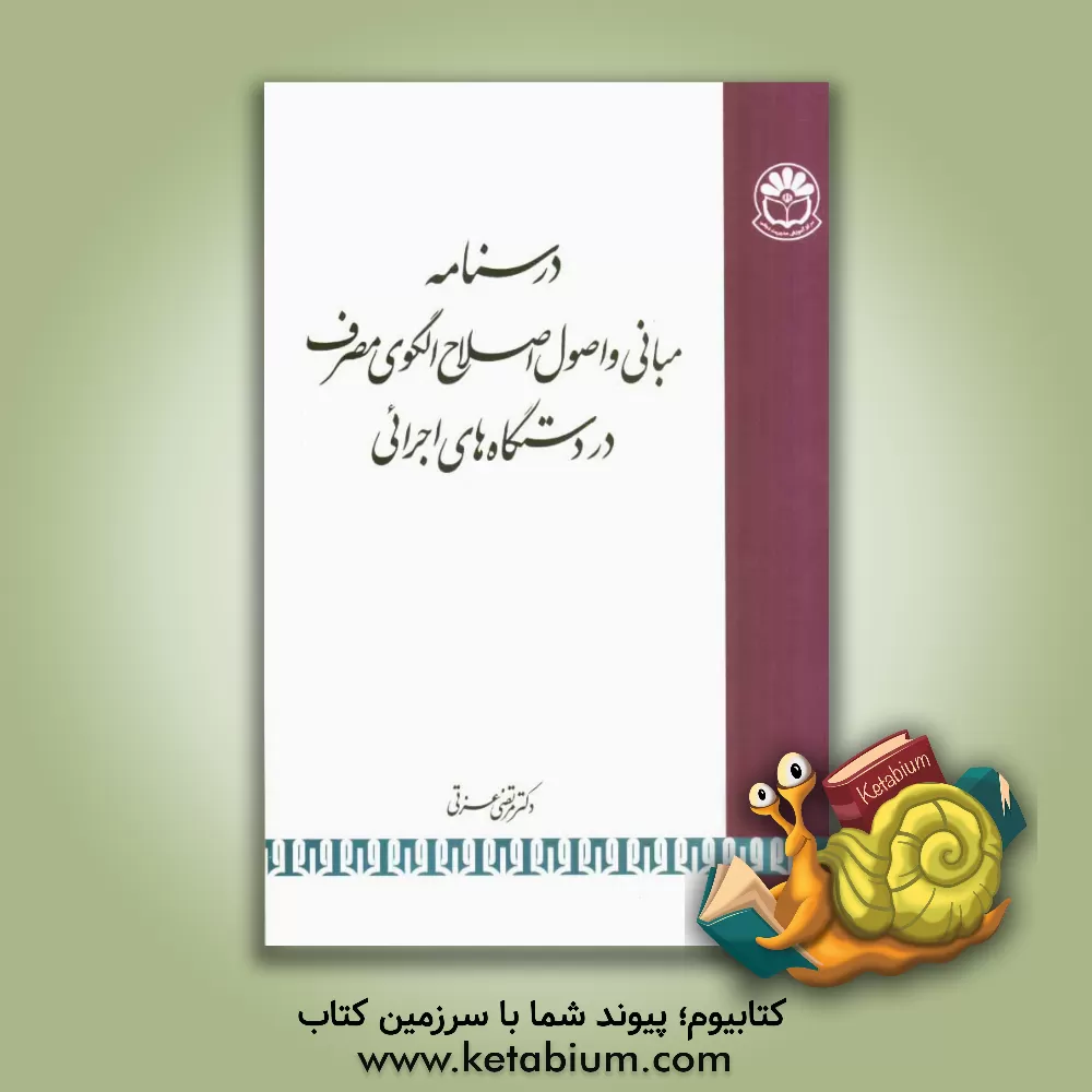 کتاب مبانی و اصول اصلاح الگوی مصرف در دستگاه های اجرائی اثر مرتضی عزتی