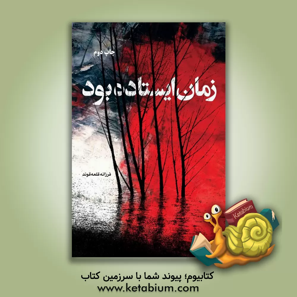 کتاب زمان ایستاده بود اثر فرزانه قلعه‌قوند