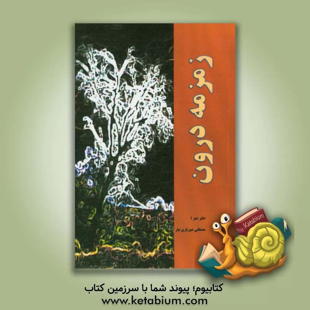 کتاب زمزمه درون اثر مصطفی شهریاری‌تبار