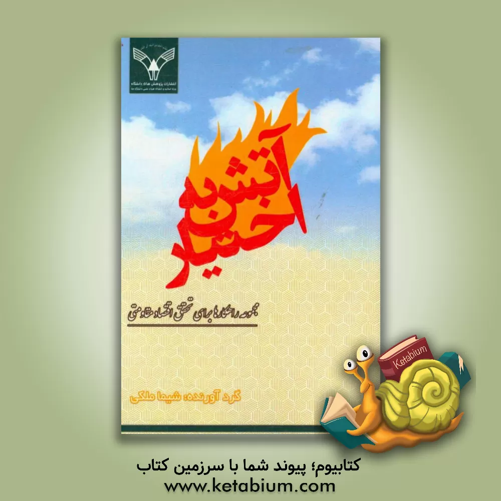 کتاب آتش به اختیار: مجموعه راهکارها برای تحقق اقتصاد مقاومتی اثر شیما ملکی