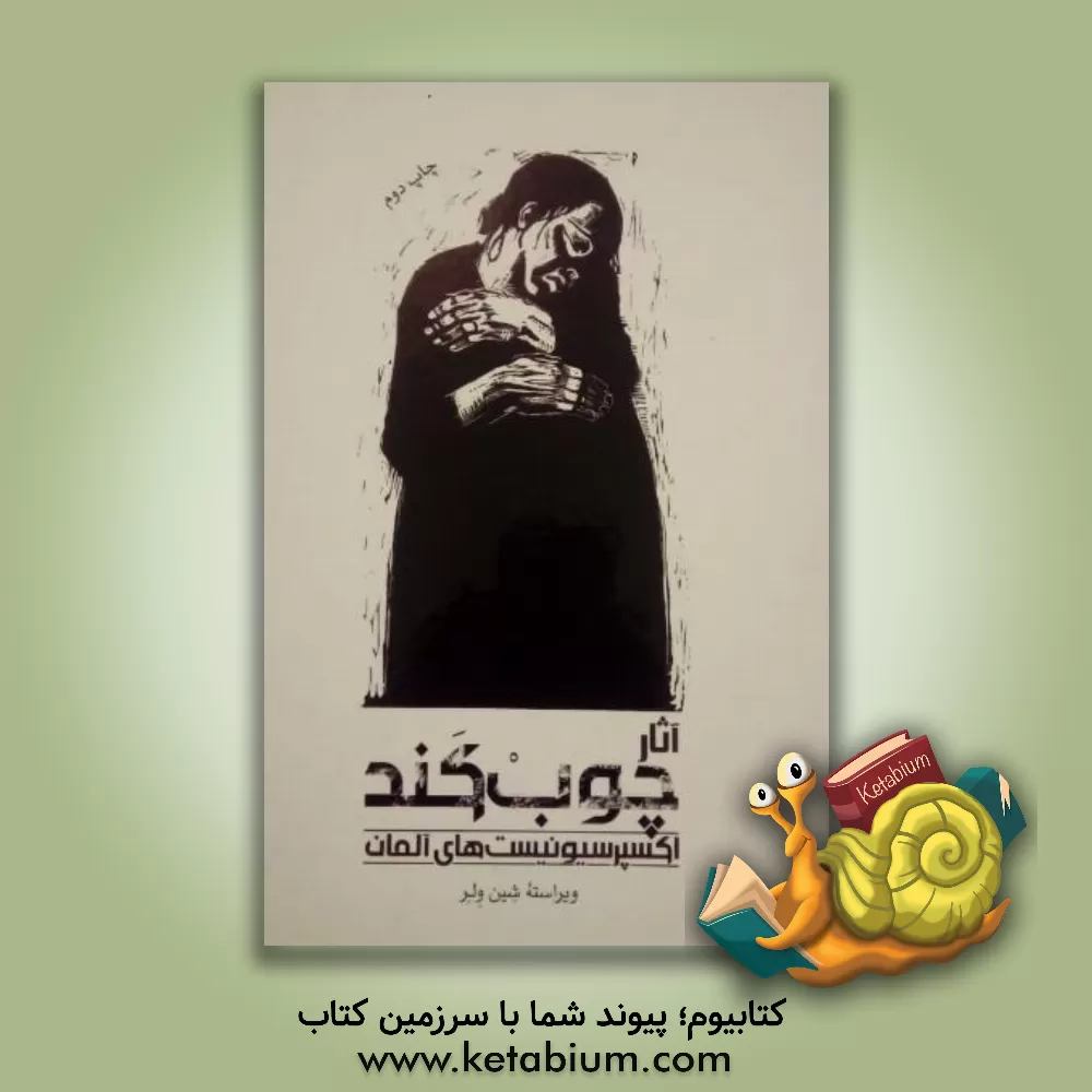 کتاب آثار چوب کند اکسپرسیونیست های آلمانی |اثر شین ولر