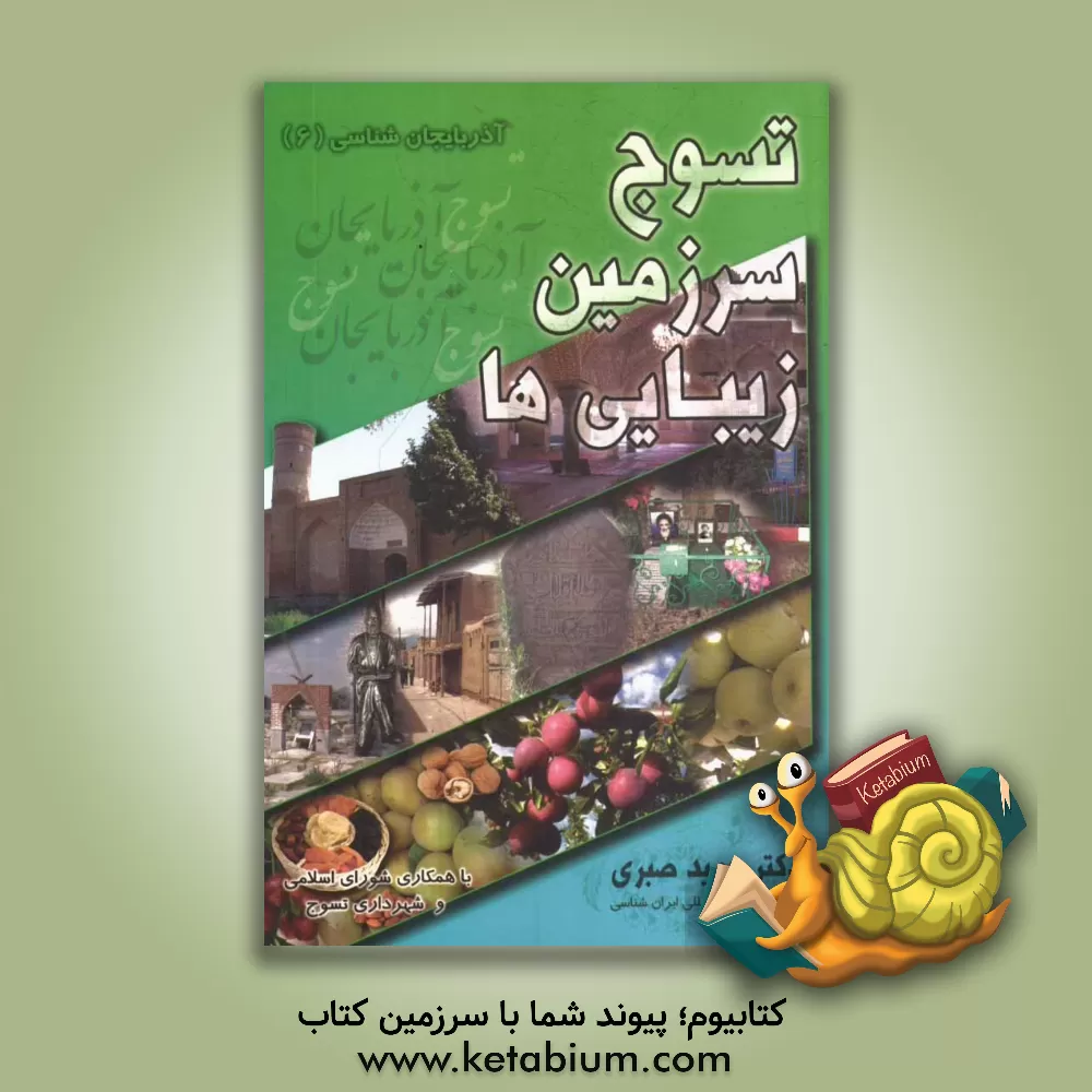 کتاب تسوج سرزمین زیبایی ها اثر حمید صبری