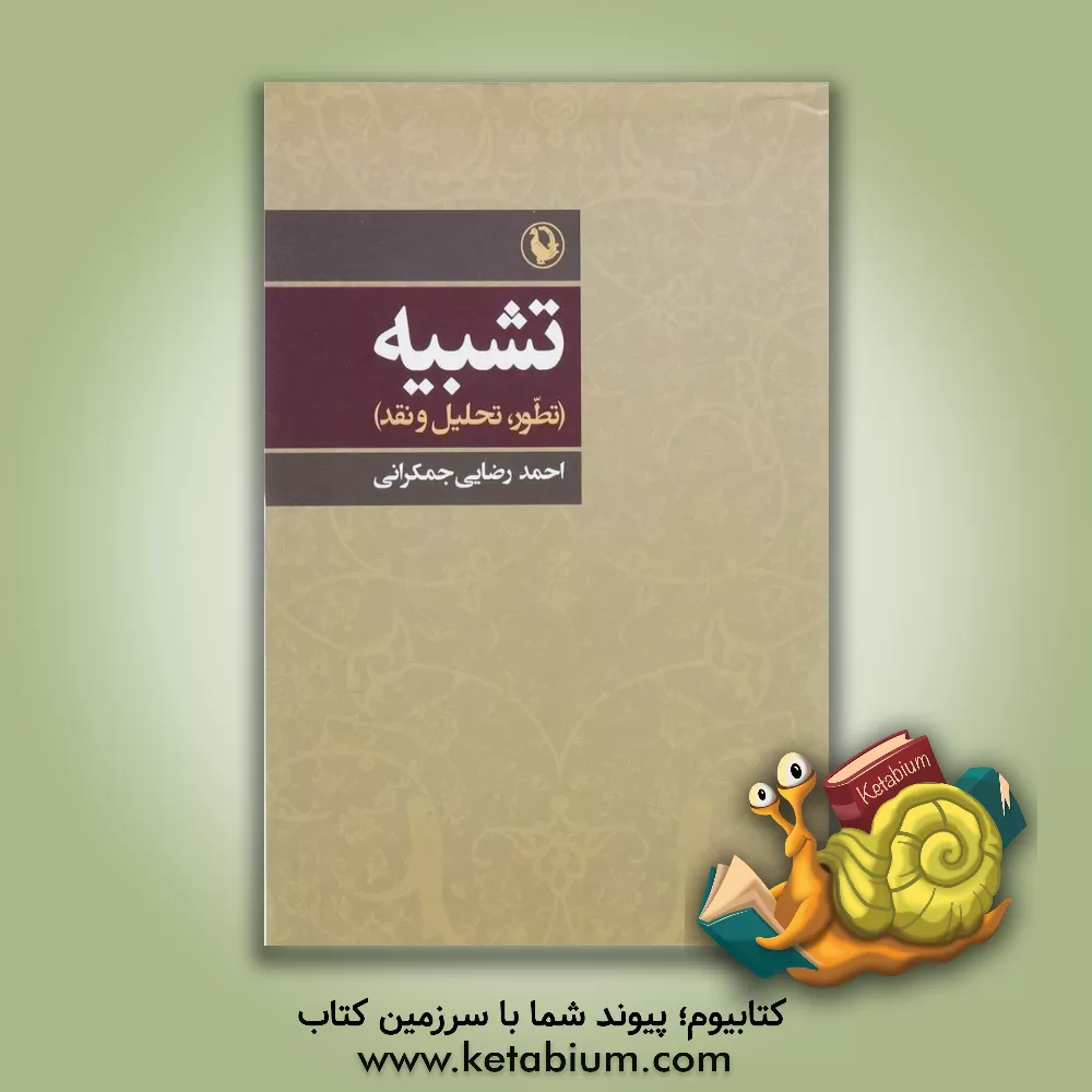 کتاب تشبیه (تطور، تحلیل و نقد) اثر احمد رضایی‌جمکرانی