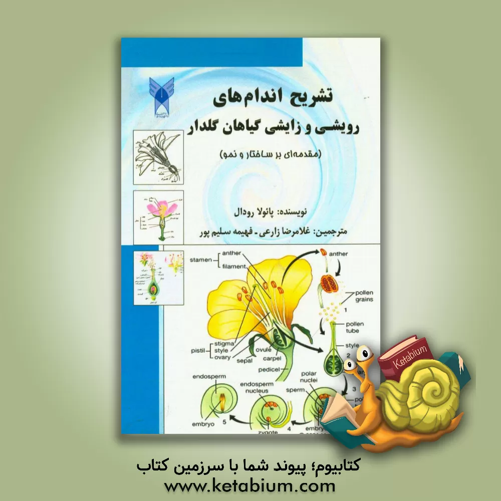 کتاب تشریح اندام های رویشی و زایشی گیاهان گل دار اثر پائولا‌جی. رودال