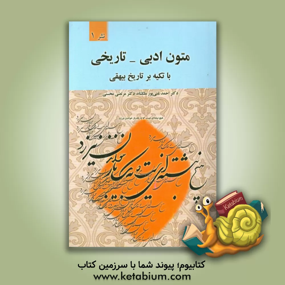 کتاب متون ادبی - تاریخی: با تکیه بر تاریخ بیهقی اثر احمد غنی‌پورملکشاه