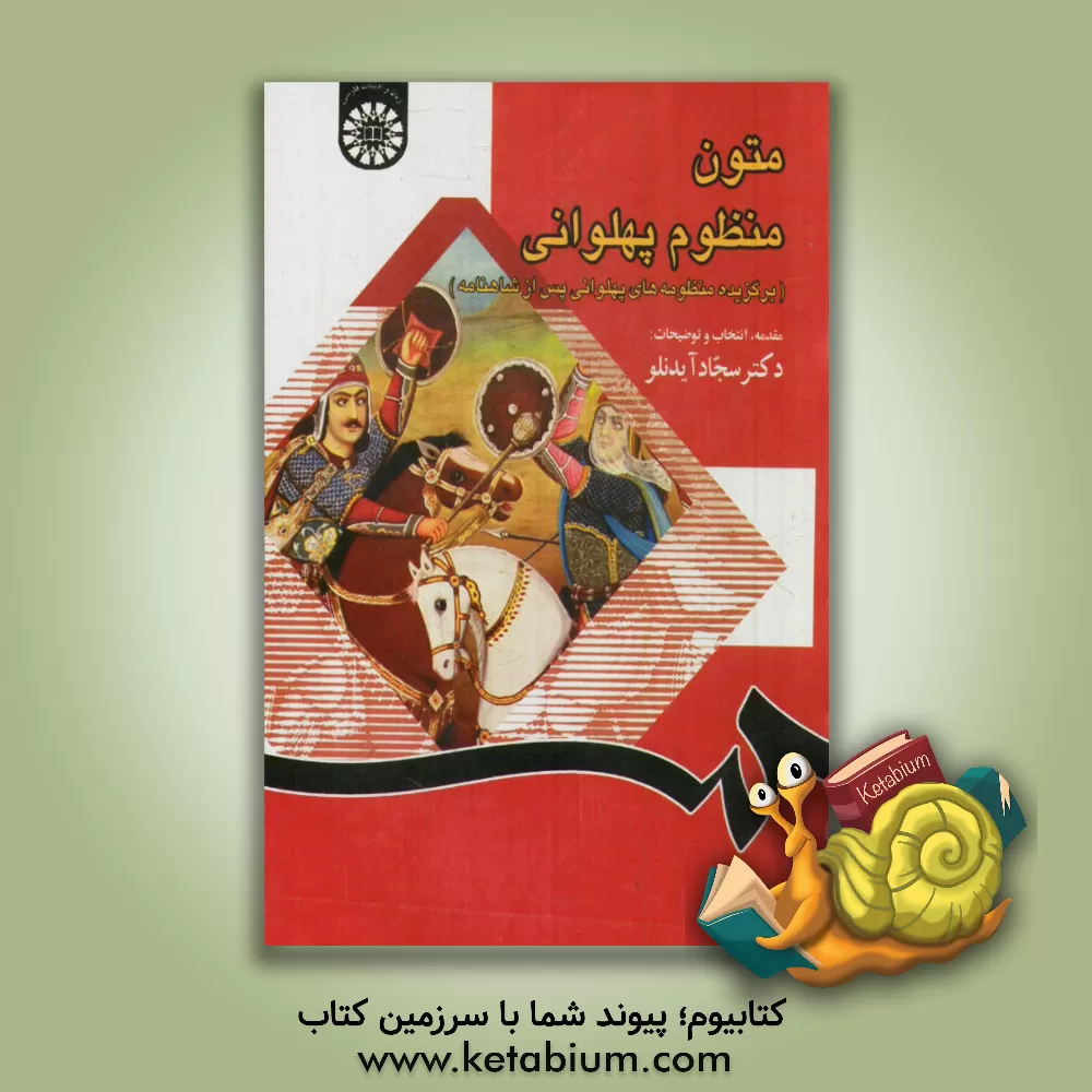 کتاب متون منظوم پهلوانی (برگزیده منظومه های پهلوانی پس از شاهنامه) |اثر سجاد آیدنلو