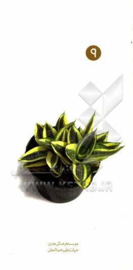 کتاب آداب آپارتمان نشینی اثر محمدجواد نوری‌مطلق