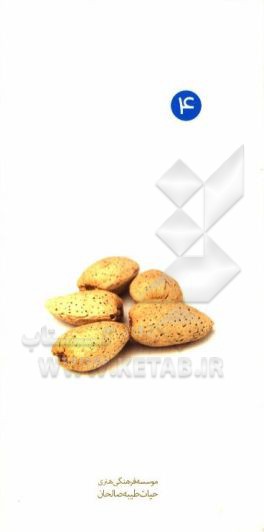 کتاب آداب پوشش و لباس اثر محمدجواد نوری‌مطلق