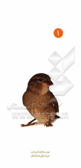 کتاب آداب دستگیری از ضعفا اثر محمدجواد نوری