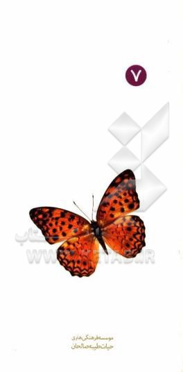 کتاب آداب دوستی و همنشینی اثر محمدجواد نوری‌مطلق