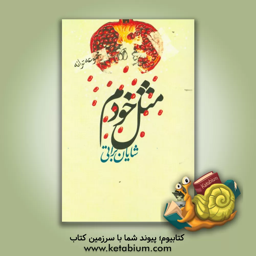 کتاب مثل خودم (مجموعه ترانه) اثر شایان براتی