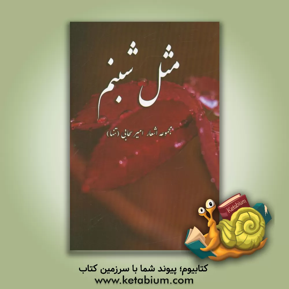 کتاب مثل شبنم اثر امیر سحابی