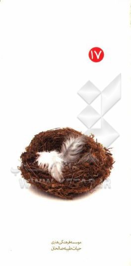 کتاب آداب همسایه داری اثر رضا طالبی