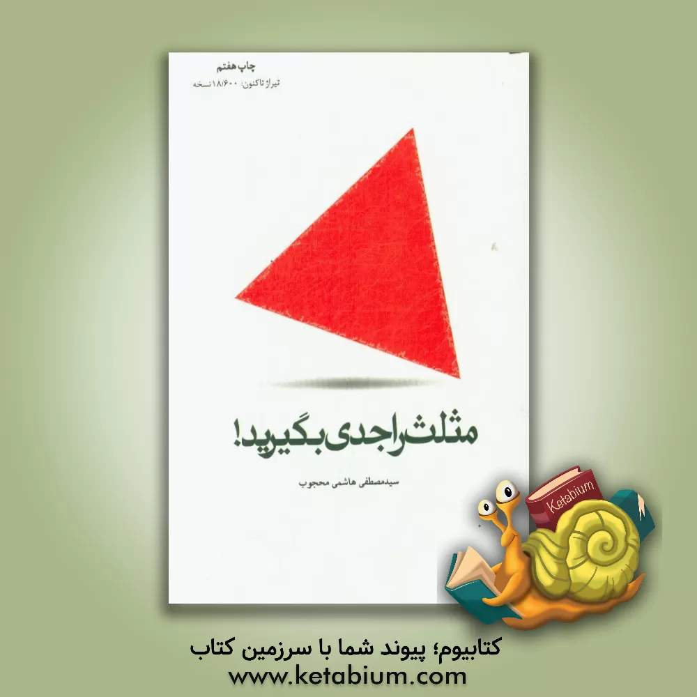 کتاب مثلث را جدی بگیرید...! اثر سیدمصطفی هاشمی‌محجوب