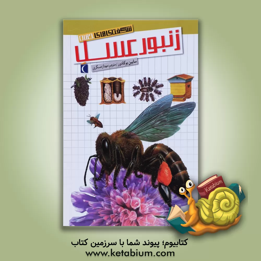 کتاب زنبور عسل اثر سابین بوکادور