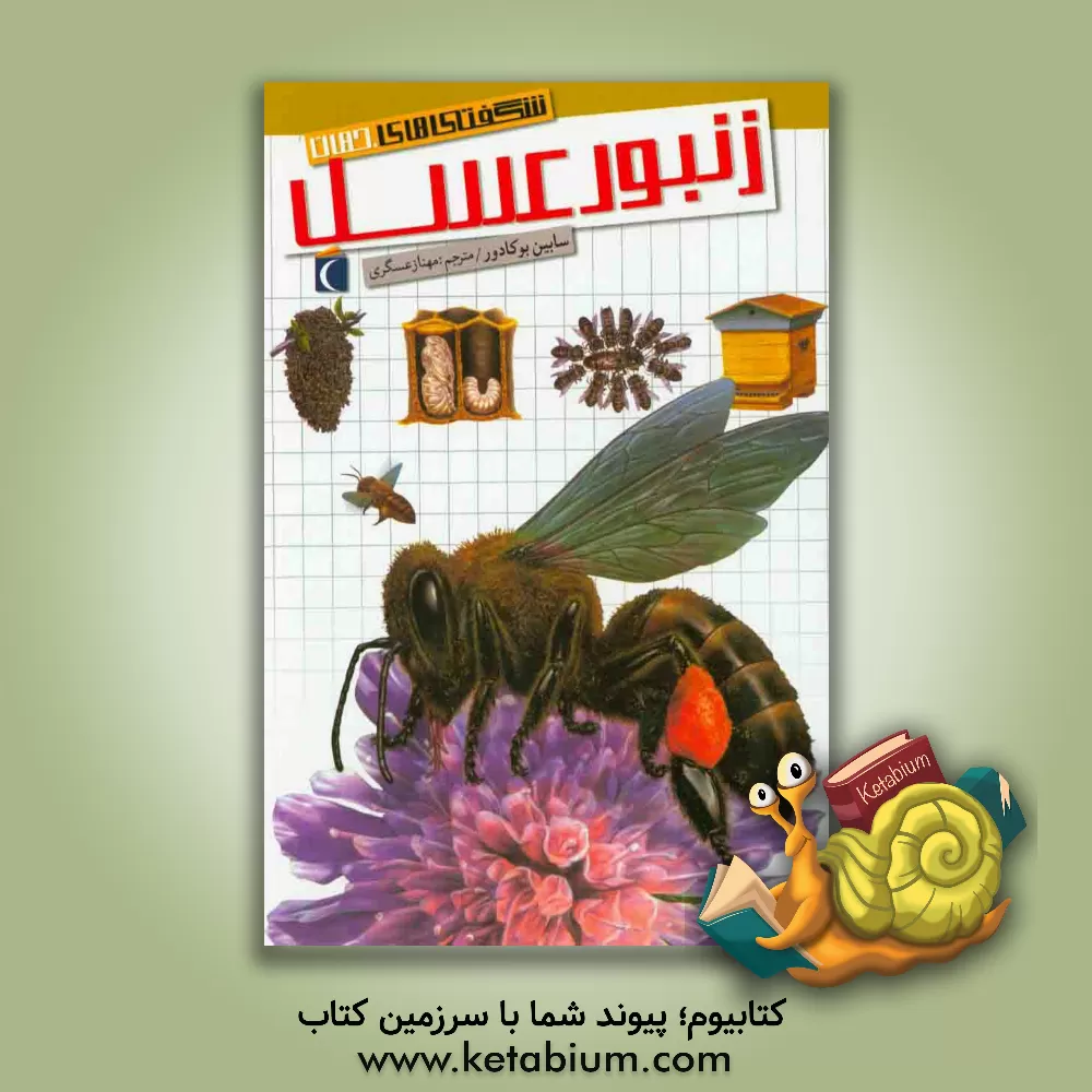 کتاب زنبور عسل اثر سابین بوکادور