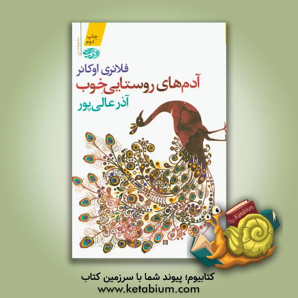 کتاب آدم های روستایی خوب: (بخش پایانی مجموعه داستان های فلانری اوکانر) اثر فلانری اوکانر