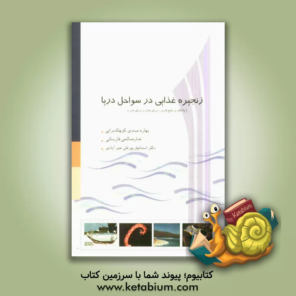 کتاب زنجیره غذایی در سواحل دریا (با تاکید بر خلیج فارس، دریای عمان و دریای خزر) اثر بهاره صمدی‌کوچکسرایی