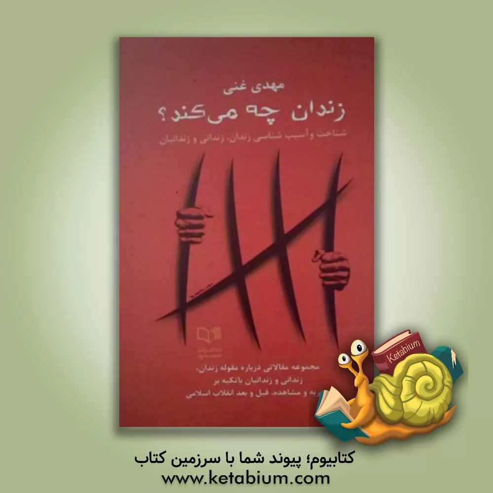 کتاب زندان چه می کند؟: شناخت و آسیب شناسی زندان، زندانی و زندانبان ... اثر سیدمهدی غنی