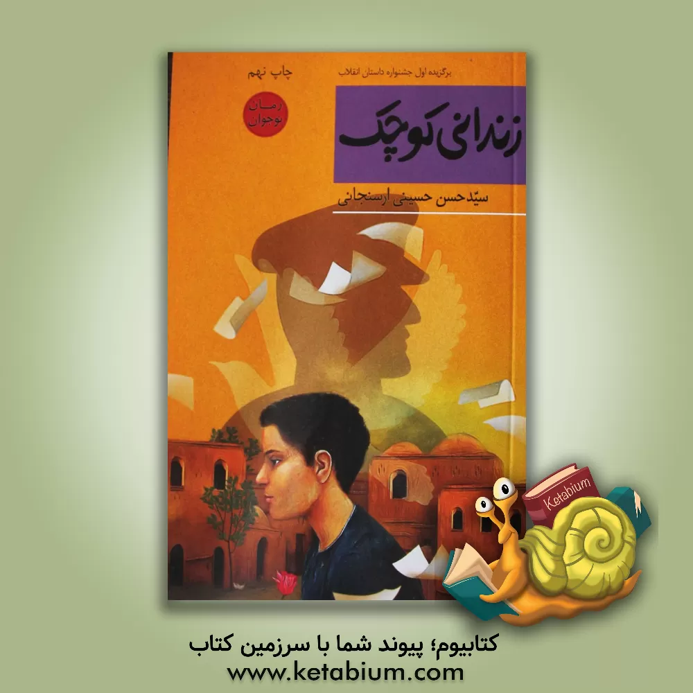 کتاب زندانی کوچک: رمان نوجوان اثر حسن حسینی‌ارسنجانی