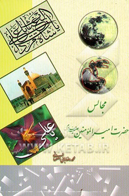 کتاب مجالس حضرت امیرالمومنین (ع): گفتارهایی از حضرت آیت الله شیخ محمود تولایی اثر محمدرضا باقی‌اصفهانی