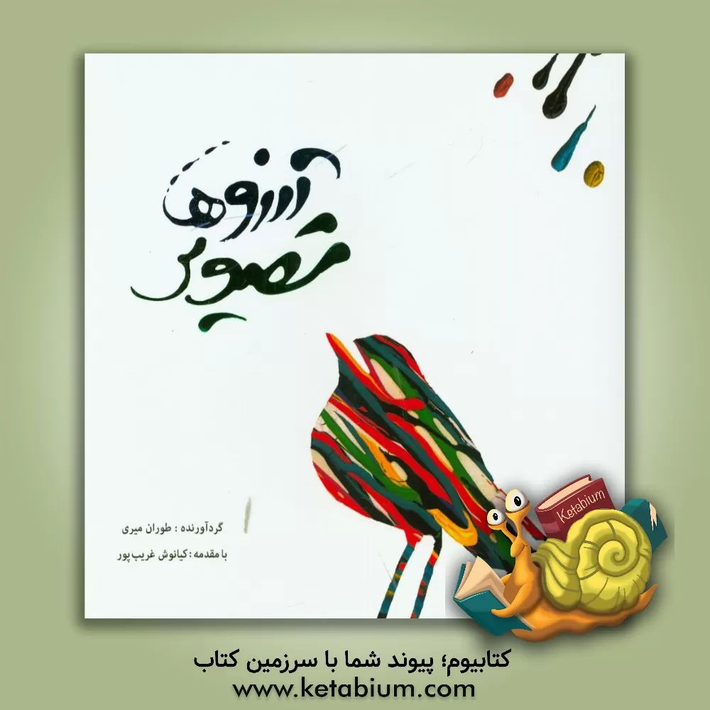 کتاب تصویر آرزوها: آثار تصویری هنرجویان نادره حق شناس اثر طوران میری