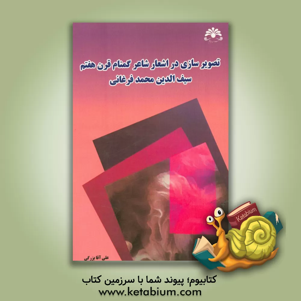 کتاب تصویرسازی در اشعار شاعر گمنام قرن هفتم اثر علی آقابزرگی