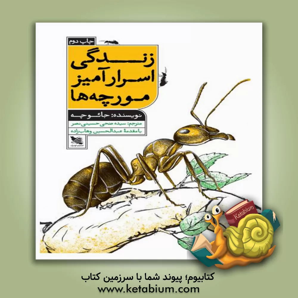 کتاب زندگی اسرارآمیز مورچه ها اثر جی‌سی چو