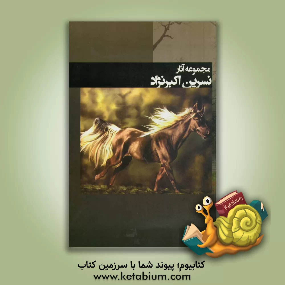 کتاب مجموعه آثار نسرین اکبرنژاد اثر نسرین اکبرنژاد