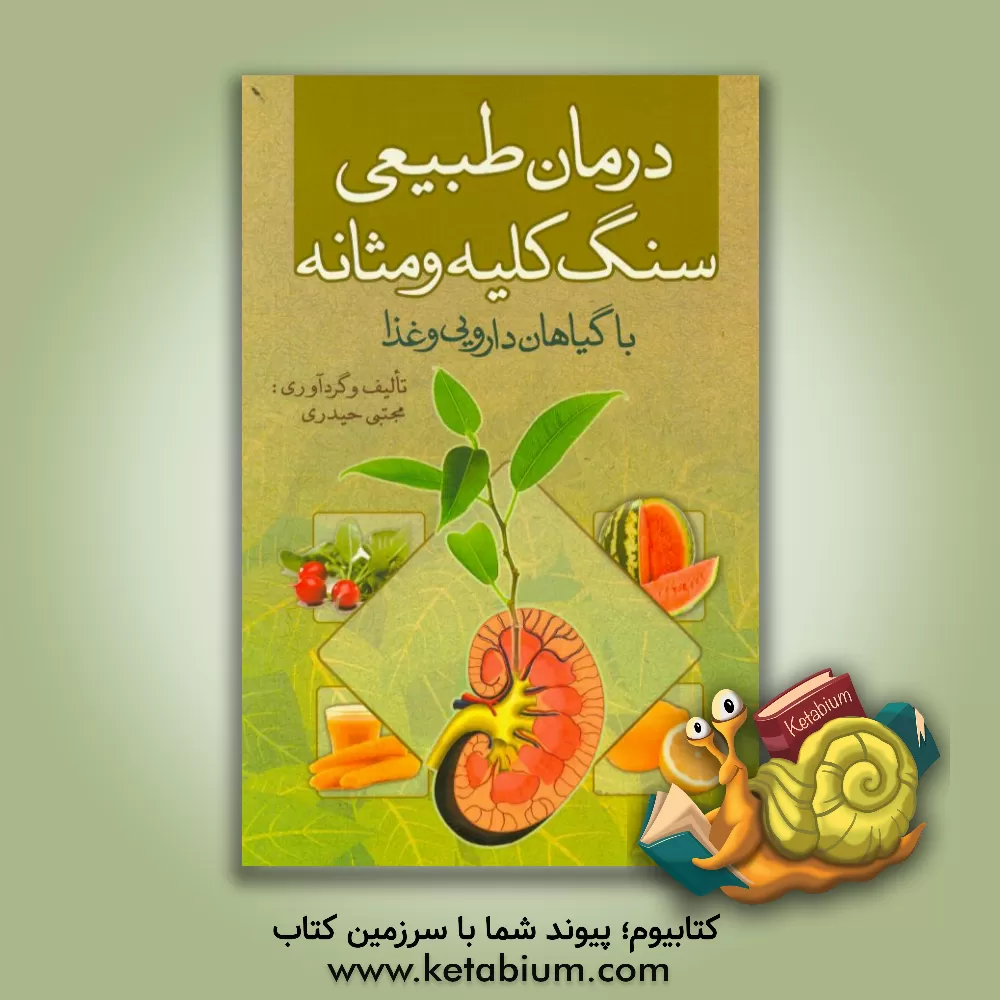 کتاب تعاملات کار و خانواده از منظر سلامت و شخصیت اثر شبنم جوانمرد