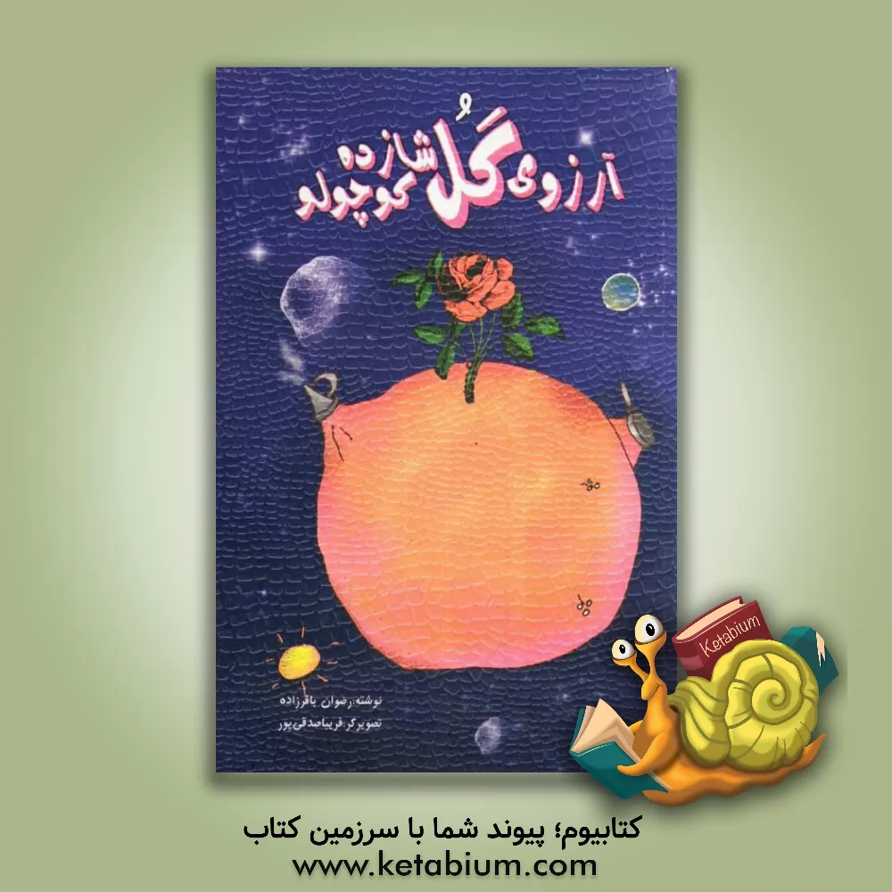 کتاب آرزوی گل شازده کوچولو اثر رضوان باقرزاده