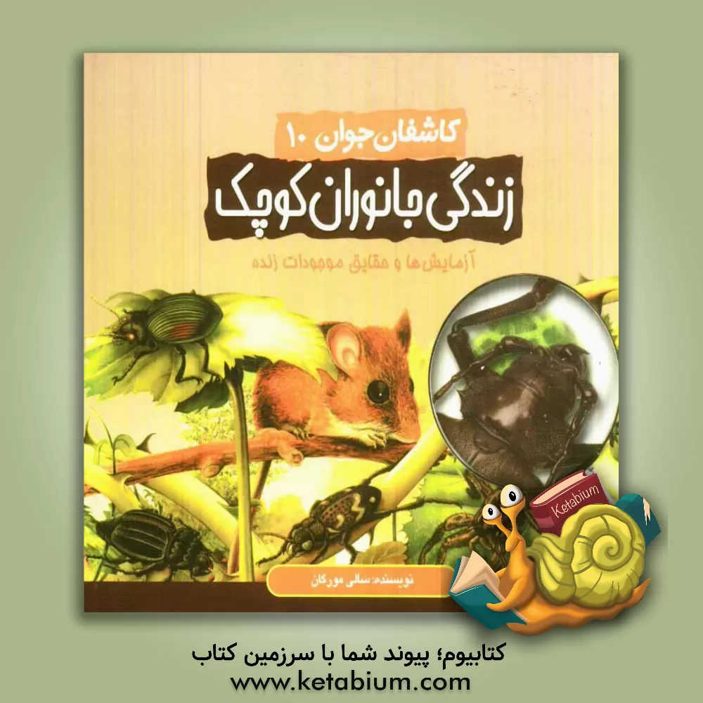 کتاب زندگی جانوران کوچک |اثر سالی مورگان