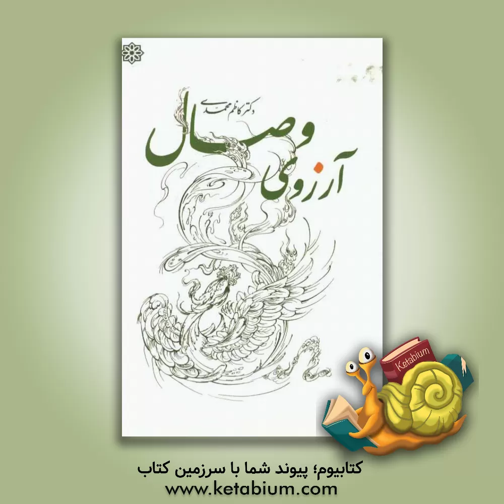 کتاب آرزوی وصال اثر کاظم محمدی‌وایقانی