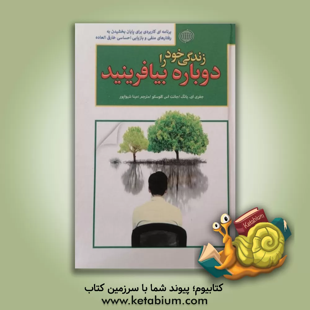 کتاب زندگی خود را دوباره بیافرینید اثر جفری‌ای. یانگ