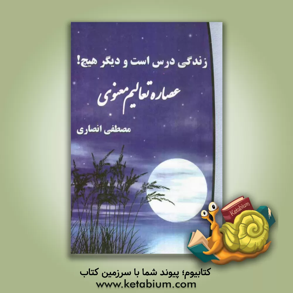 کتاب زندگی درس است و دیگر هیچ!: عصاره ی تعالیم معنوی اثر مصطفی انصاری