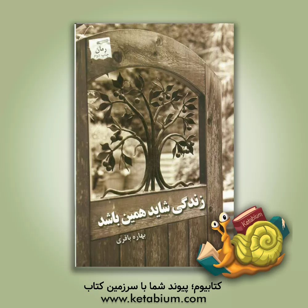 کتاب زندگی شاید همین باشد اثر بهاره باقری