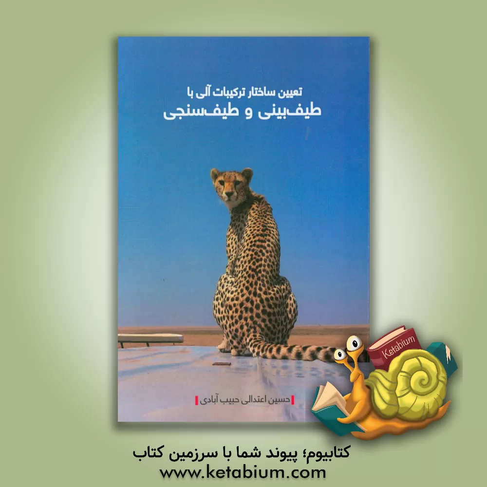 کتاب تعیین ساختار ترکیبات آلی با طیف بینی و طیف سنجی اثر حسین اعتدالی‌حبیب‌آبادی