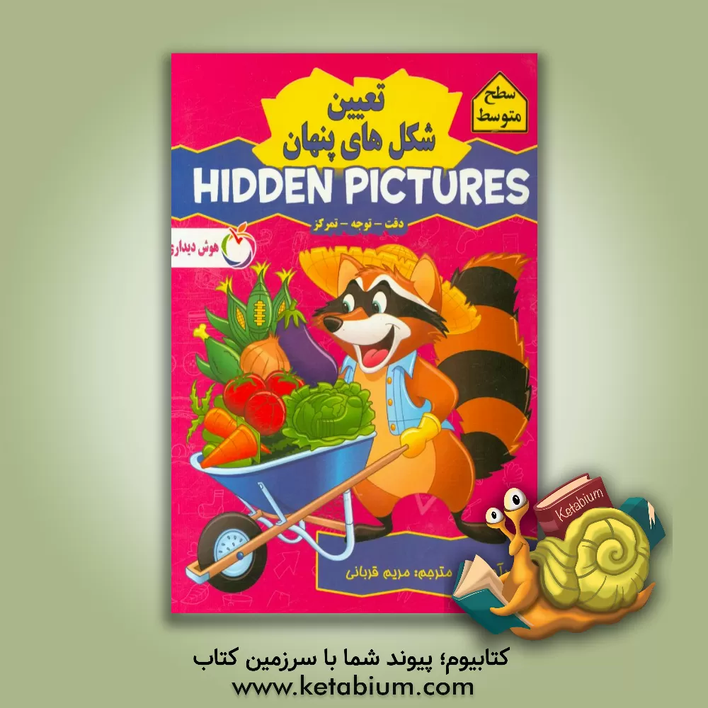 کتاب تعیین شکل های پنهان: سطح متوسط اثر مریم قربانی