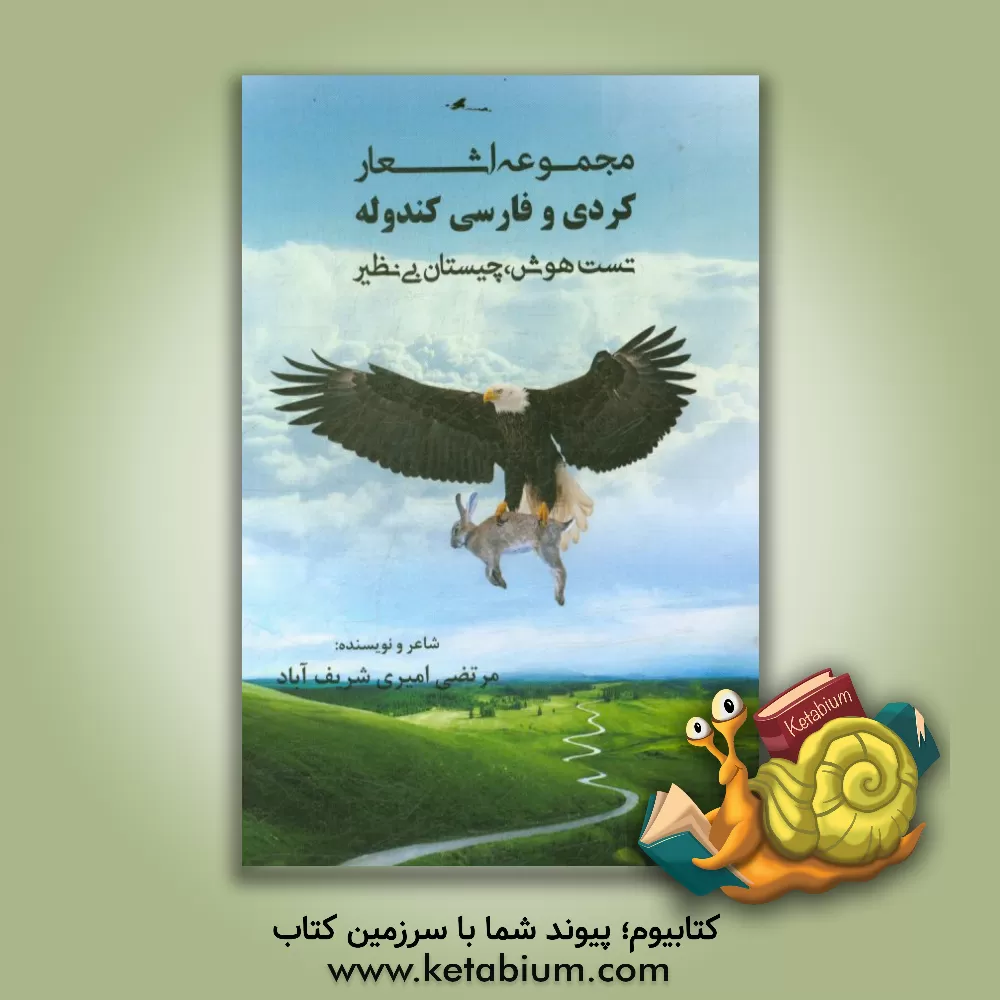 کتاب مجموعه اشعار کردی و فارسی کندوله، تست هوش چیستان بی نظیر اثر مرتضی امیری‌شریف‌آبادکندوله
