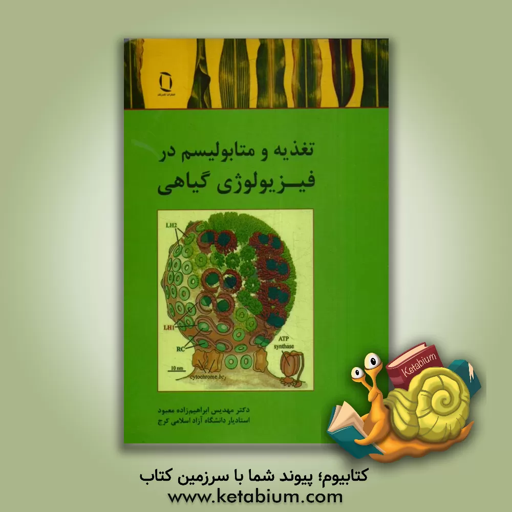 کتاب تغذیه و متابولیسم در فیزیولوژی گیاهی اثر مهدیس ابراهیم‌زاده‌معبود
