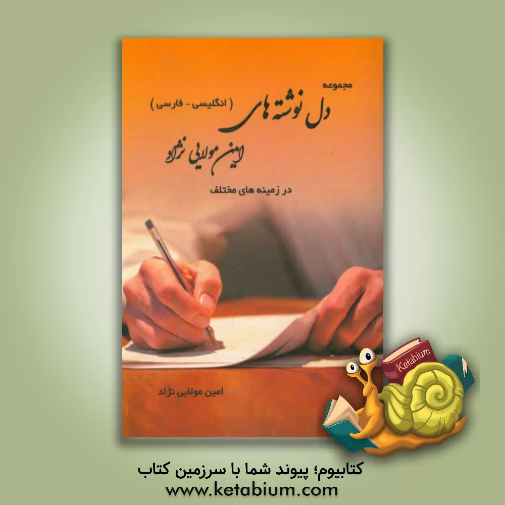 کتاب مجموعه دل نوشته های امین مولایی نژاد در زمینه های مختلف (انگلیسی - فارسی) اثر امین مولایی‌نژاد