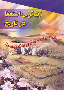 کتاب زیباترین استعفا: آشنایی بیشتر با زندگی امام حسن (ع) اثر مهدی ابهامی