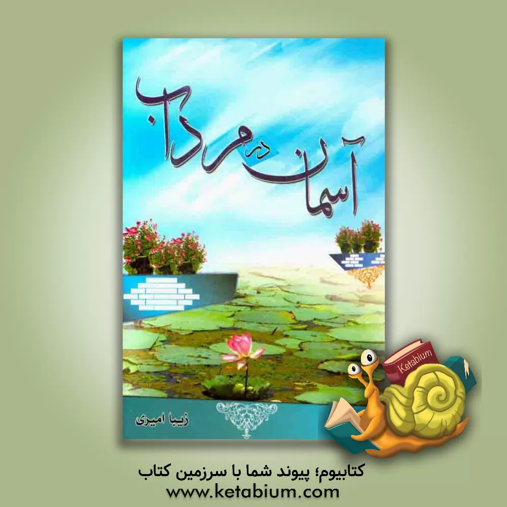 کتاب آسمان در مرداب اثر زیبا امیری