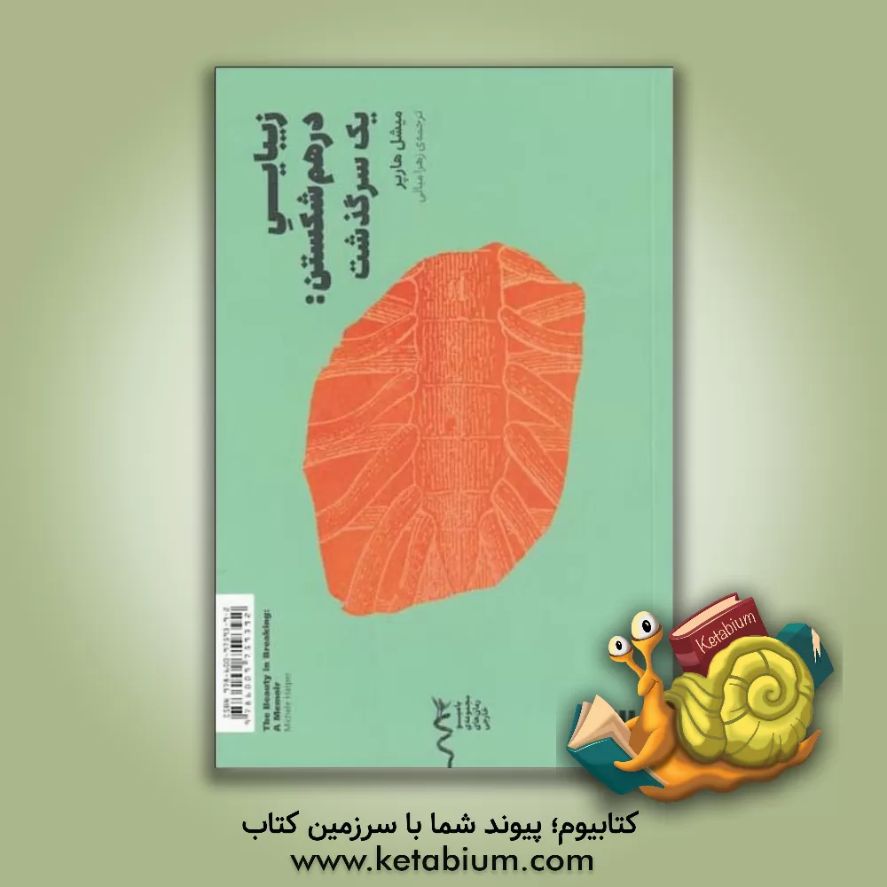 کتاب زیبایی درهم شکستن: یک سرگذشت اثر میشل هارپر