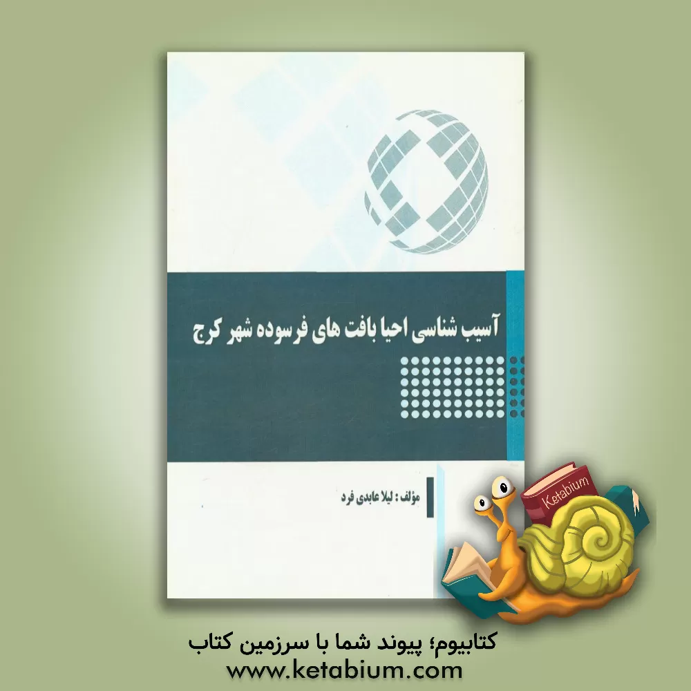 کتاب آسیب شناسی احیا بافت های فرسوده شهر کرج اثر لیلا عابدی‌فرد