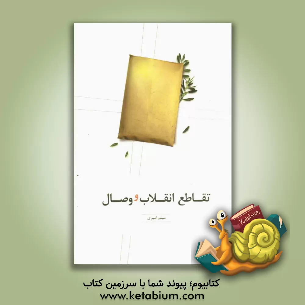 کتاب تقاطع انقلاب و وصال اثر میثم امیری